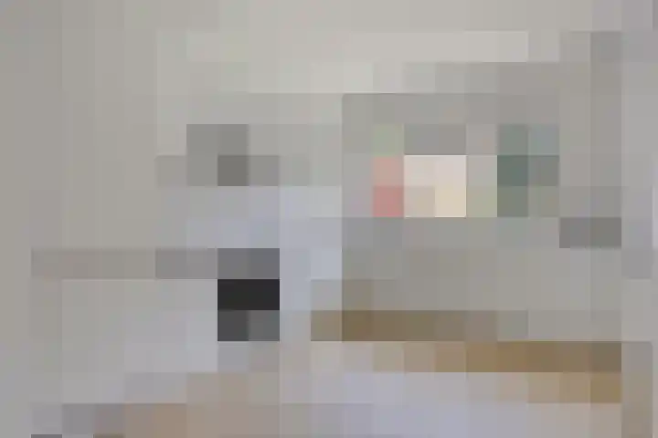 Boogschutter 28 Hoorn thumbnail 9
