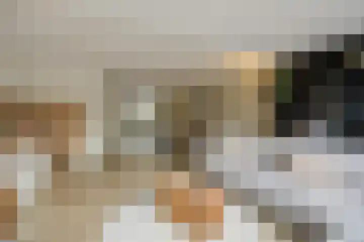 Boogschutter 3 Etten-Leur thumbnail 16