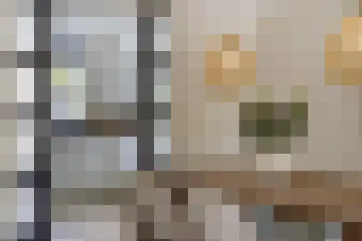 Boogschutter 3 Etten-Leur thumbnail 19
