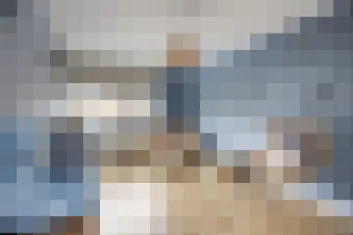 Boogschutter 3 Etten-Leur thumbnail 22