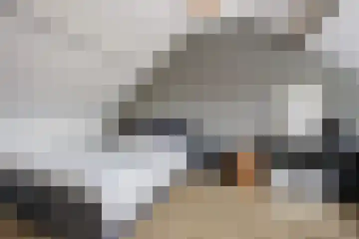 Boogschutter 3 Etten-Leur thumbnail 33