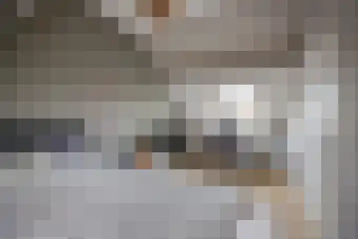 Boogschutter 3 Etten-Leur thumbnail 35