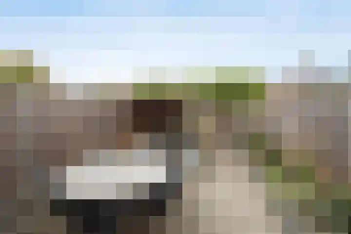 Boogschutter 3 Etten-Leur thumbnail 36