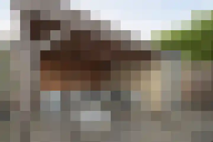Boogschutter 3 Etten-Leur thumbnail 37