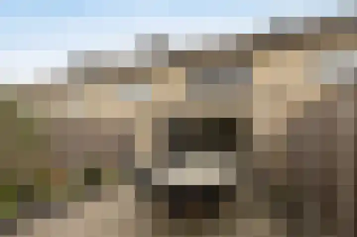 Boogschutter 3 Etten-Leur thumbnail 40