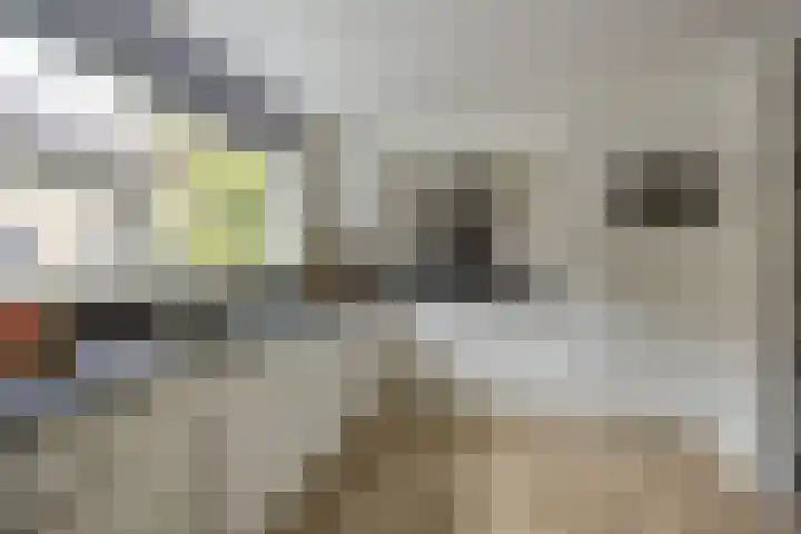 Boogschutter 3 Etten-Leur thumbnail 7