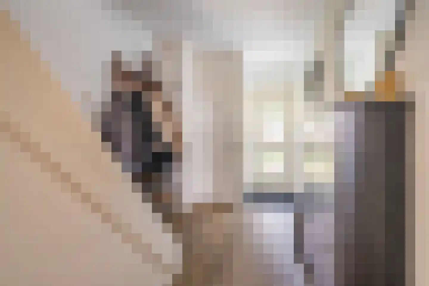 Boogschutter 30 Hoogezand thumbnail 15