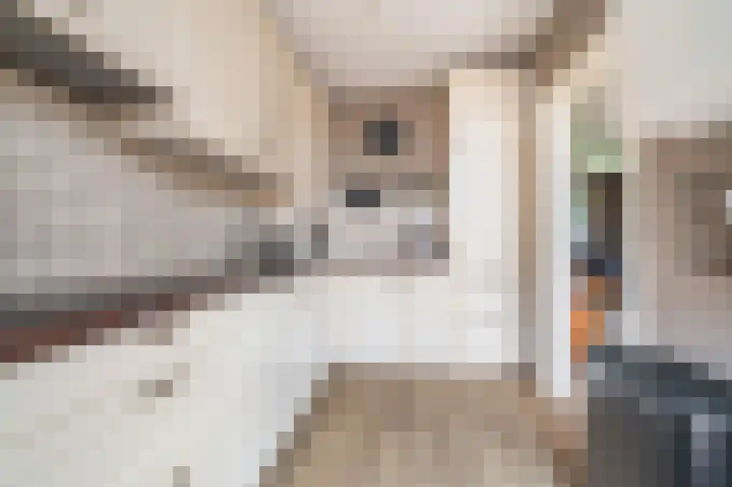 Boogschutter 30 Hoogezand thumbnail 26