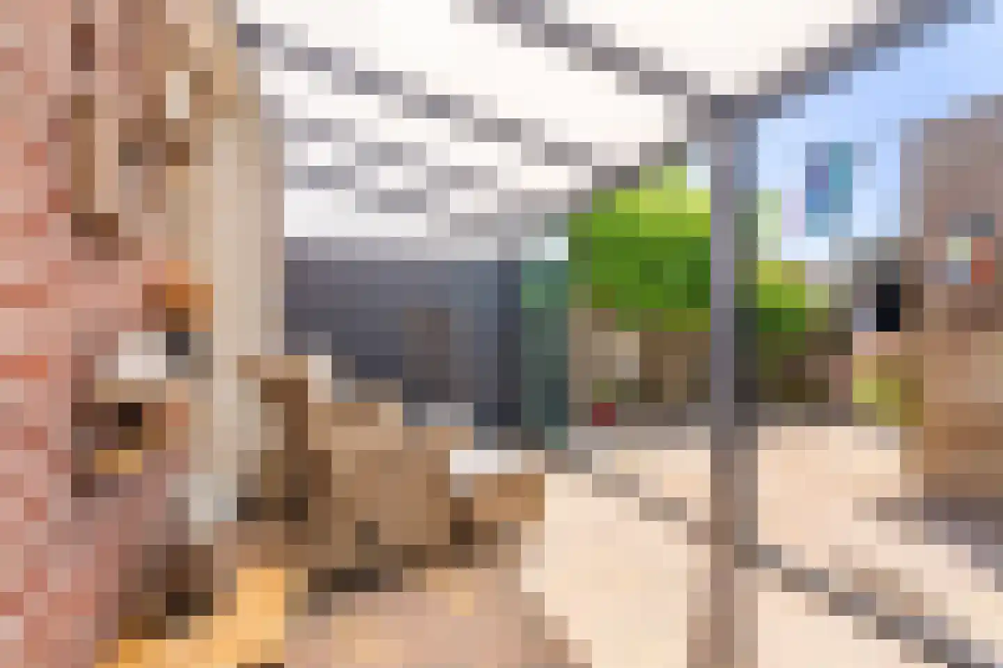 Boogschutter 30 Hoogezand thumbnail 30
