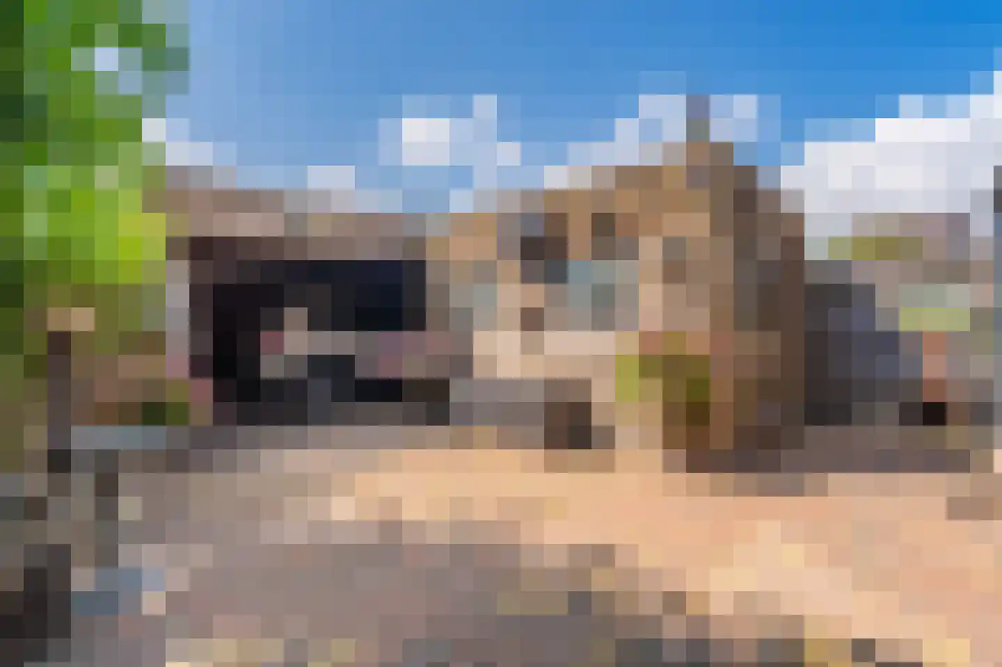 Boogschutter 30 Hoogezand thumbnail 31