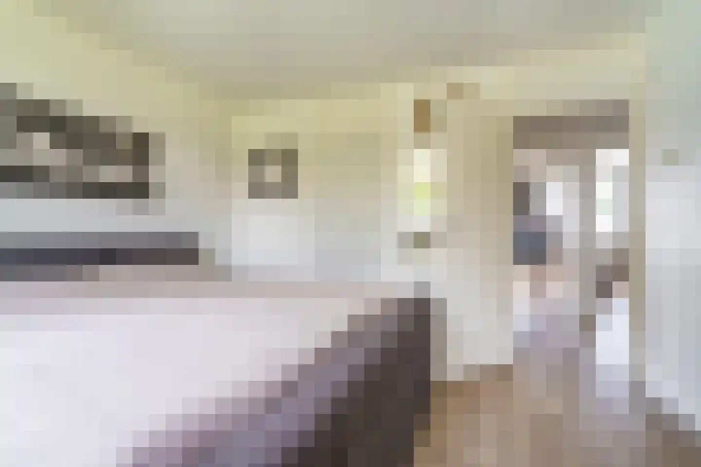 Boogschutter 30 Hoogezand thumbnail 38