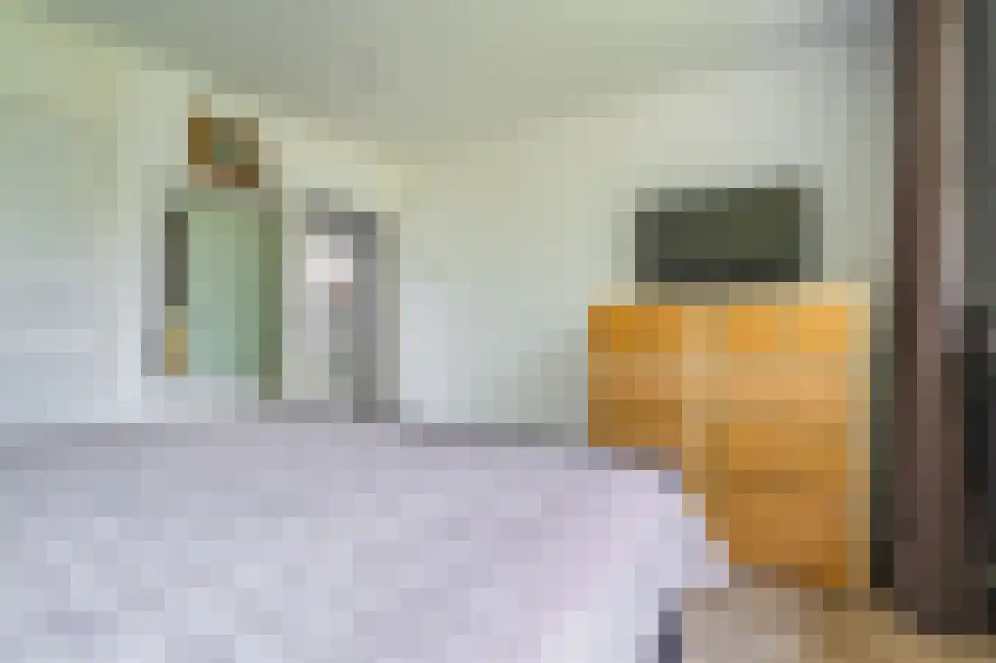 Boogschutter 30 Hoogezand thumbnail 39