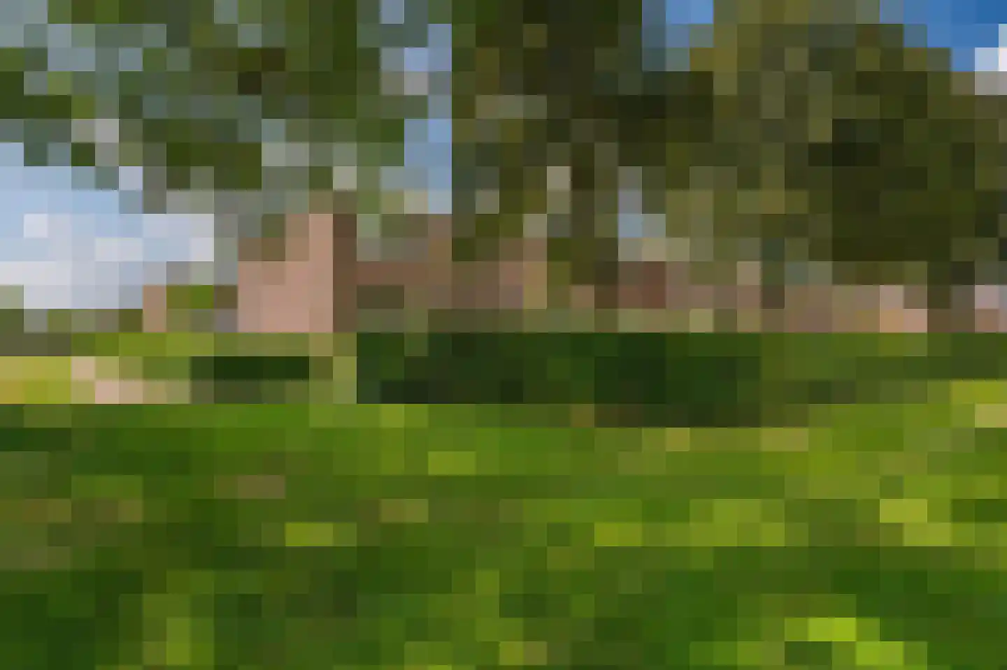 Boogschutter 30 Hoogezand thumbnail 7