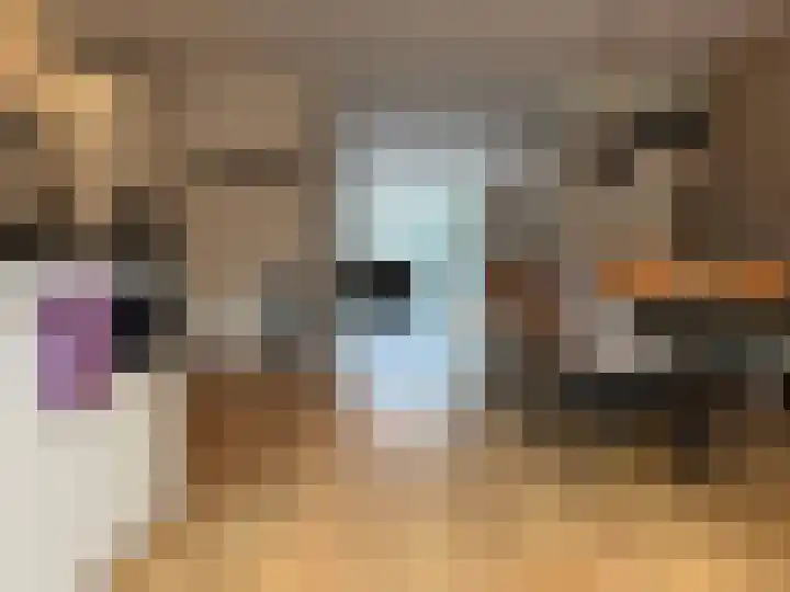 Boogschutter 42 Schijndel thumbnail 10