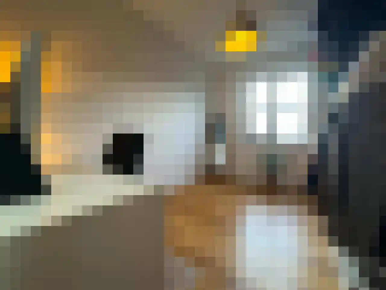 Boogschutter 42 Schijndel thumbnail 18