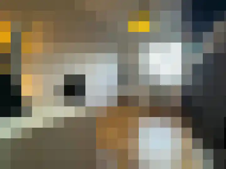 Boogschutter 42 Schijndel thumbnail 18