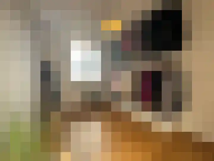 Boogschutter 42 Schijndel thumbnail 19