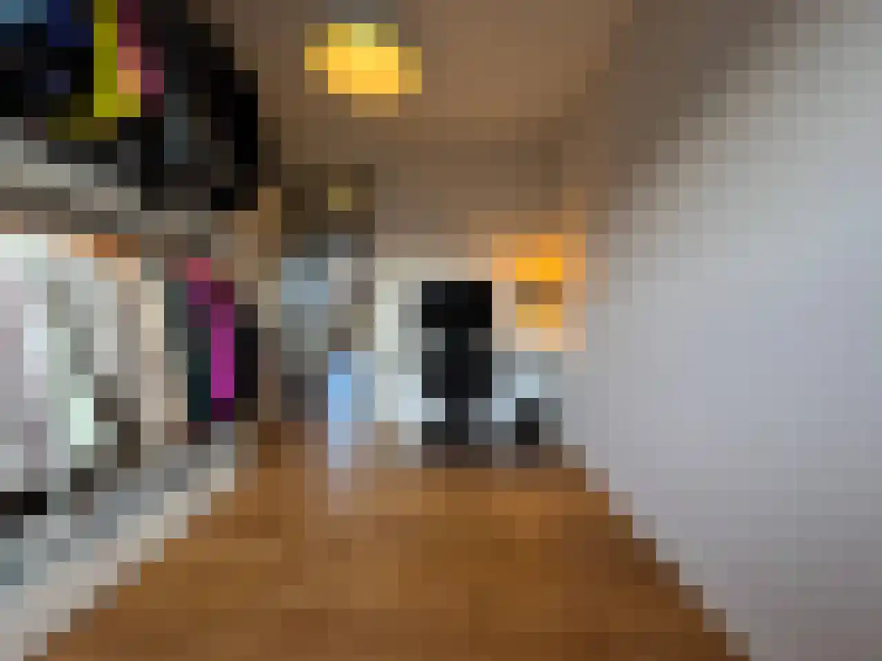 Boogschutter 42 Schijndel thumbnail 19