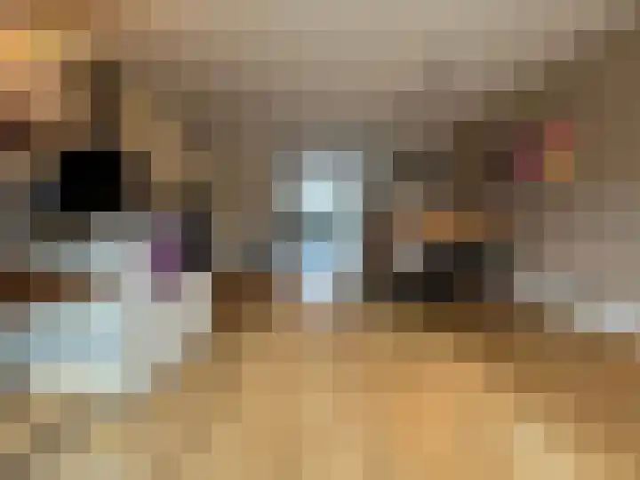 Boogschutter 42 Schijndel foto 2