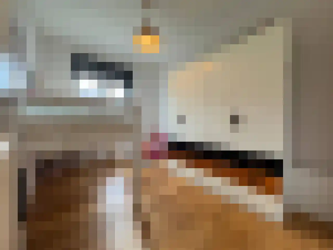Boogschutter 42 Schijndel thumbnail 20