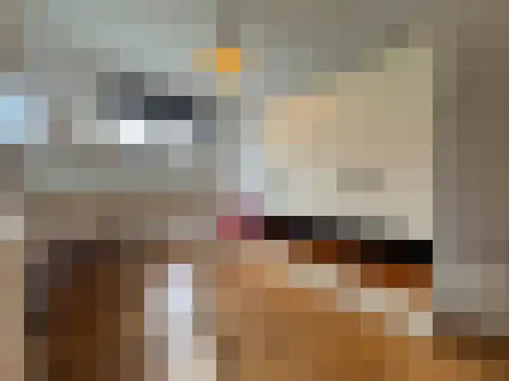 Boogschutter 42 Schijndel thumbnail 21