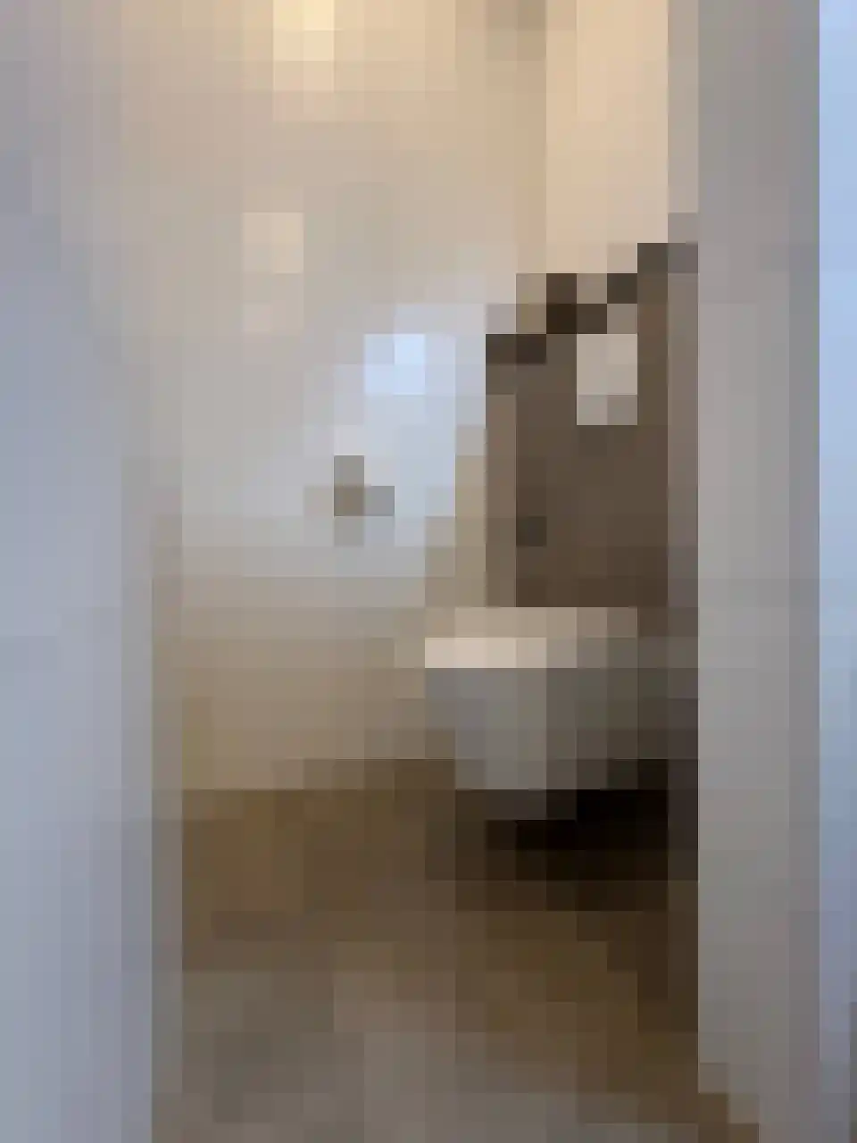 Boogschutter 42 Schijndel thumbnail 24