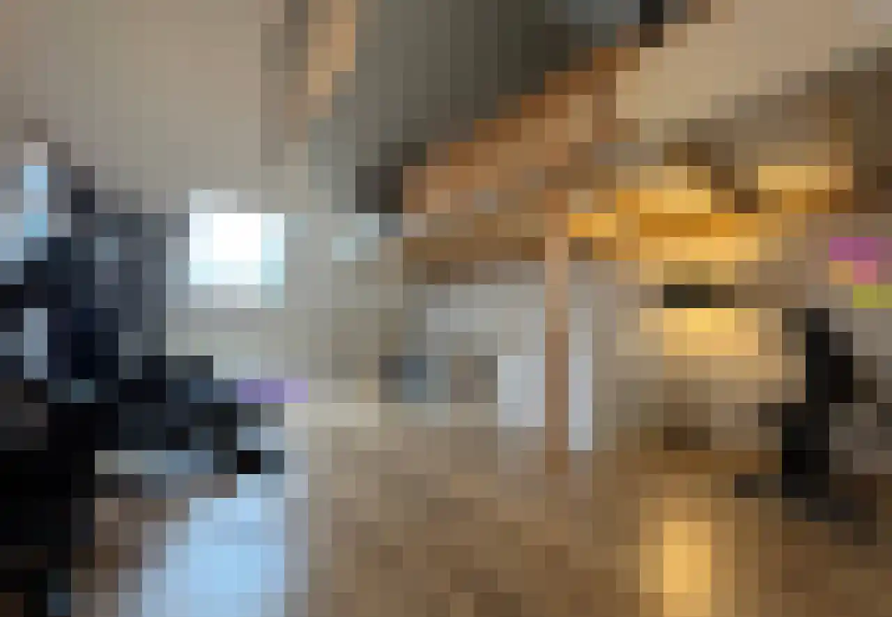 Boogschutter 42 Schijndel thumbnail 26