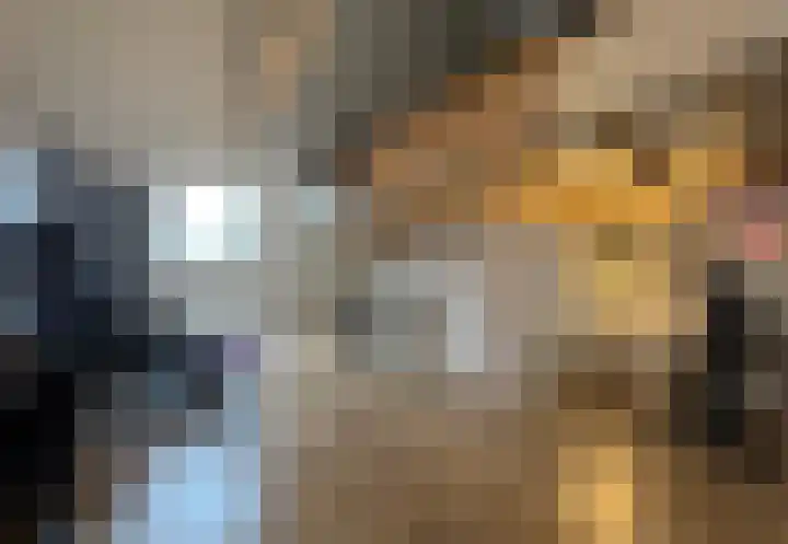 Boogschutter 42 Schijndel thumbnail 26