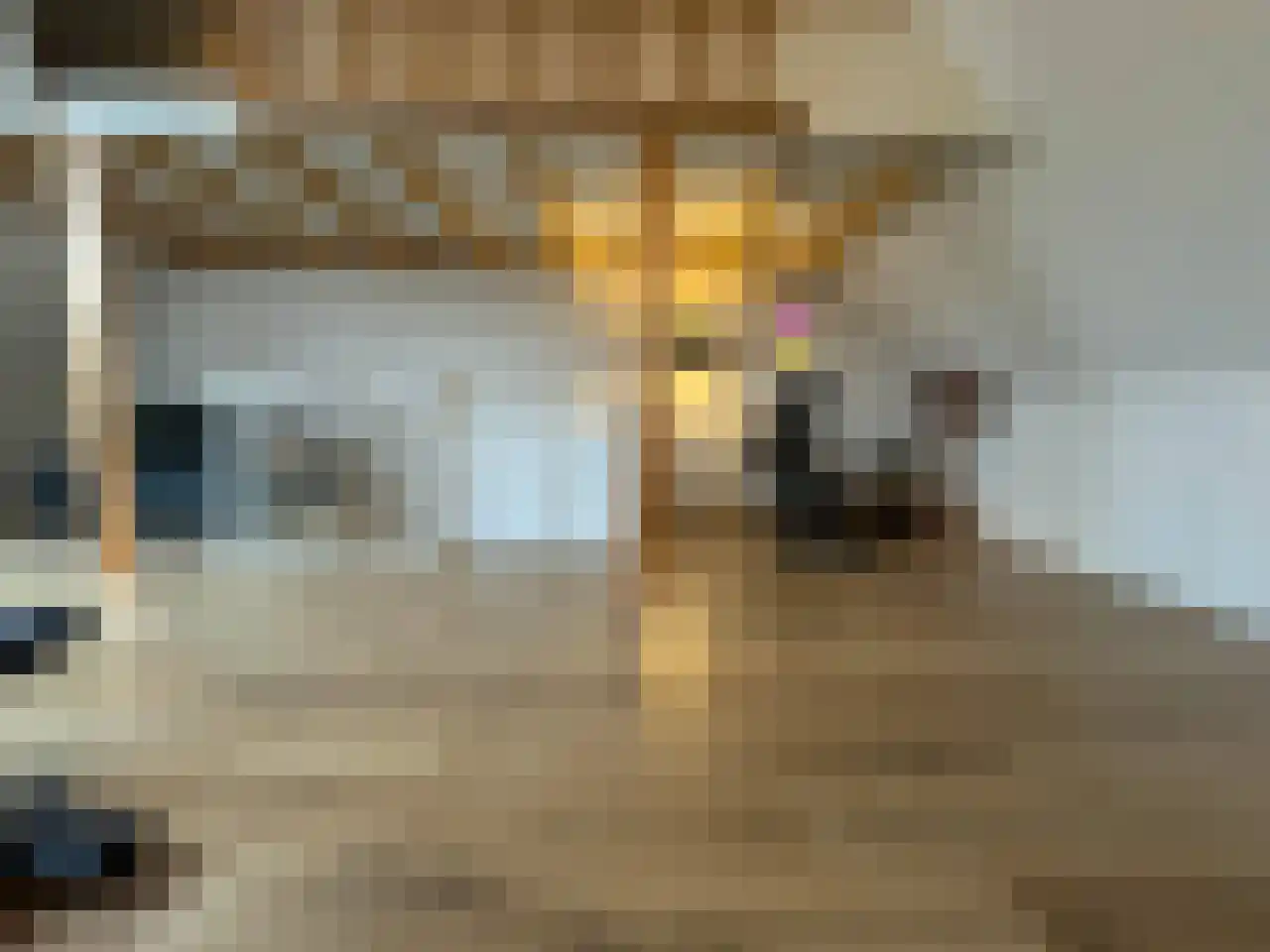 Boogschutter 42 Schijndel thumbnail 27