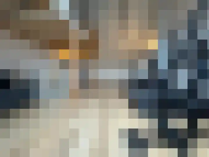 Boogschutter 42 Schijndel thumbnail 28