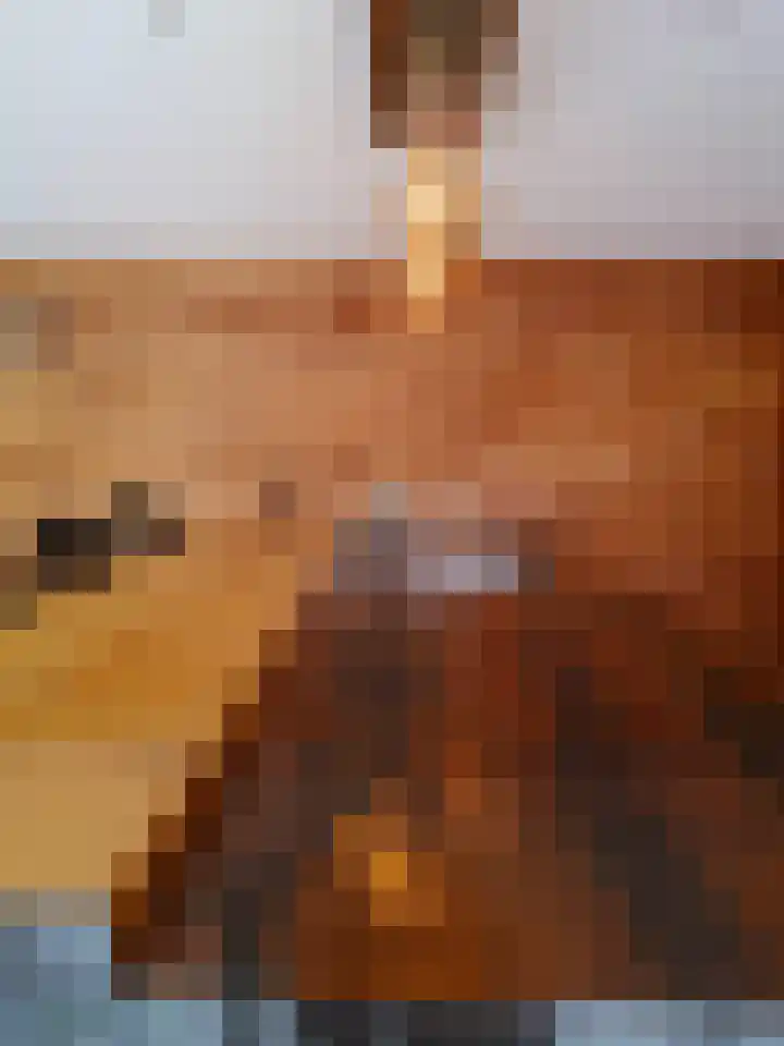 Boogschutter 42 Schijndel thumbnail 34