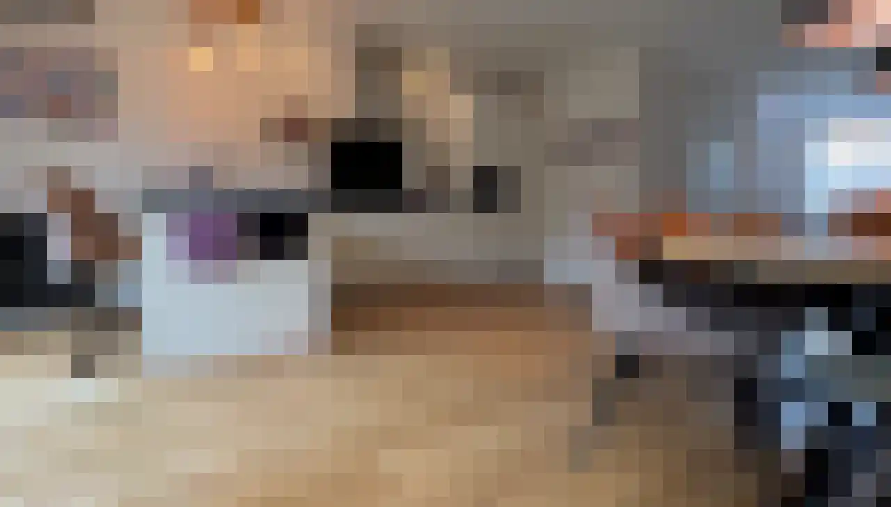 Boogschutter 42 Schijndel thumbnail 4