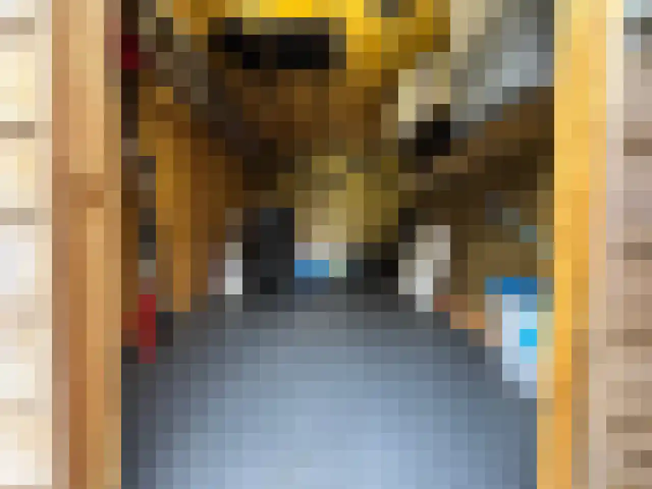 Boogschutter 42 Schijndel thumbnail 40