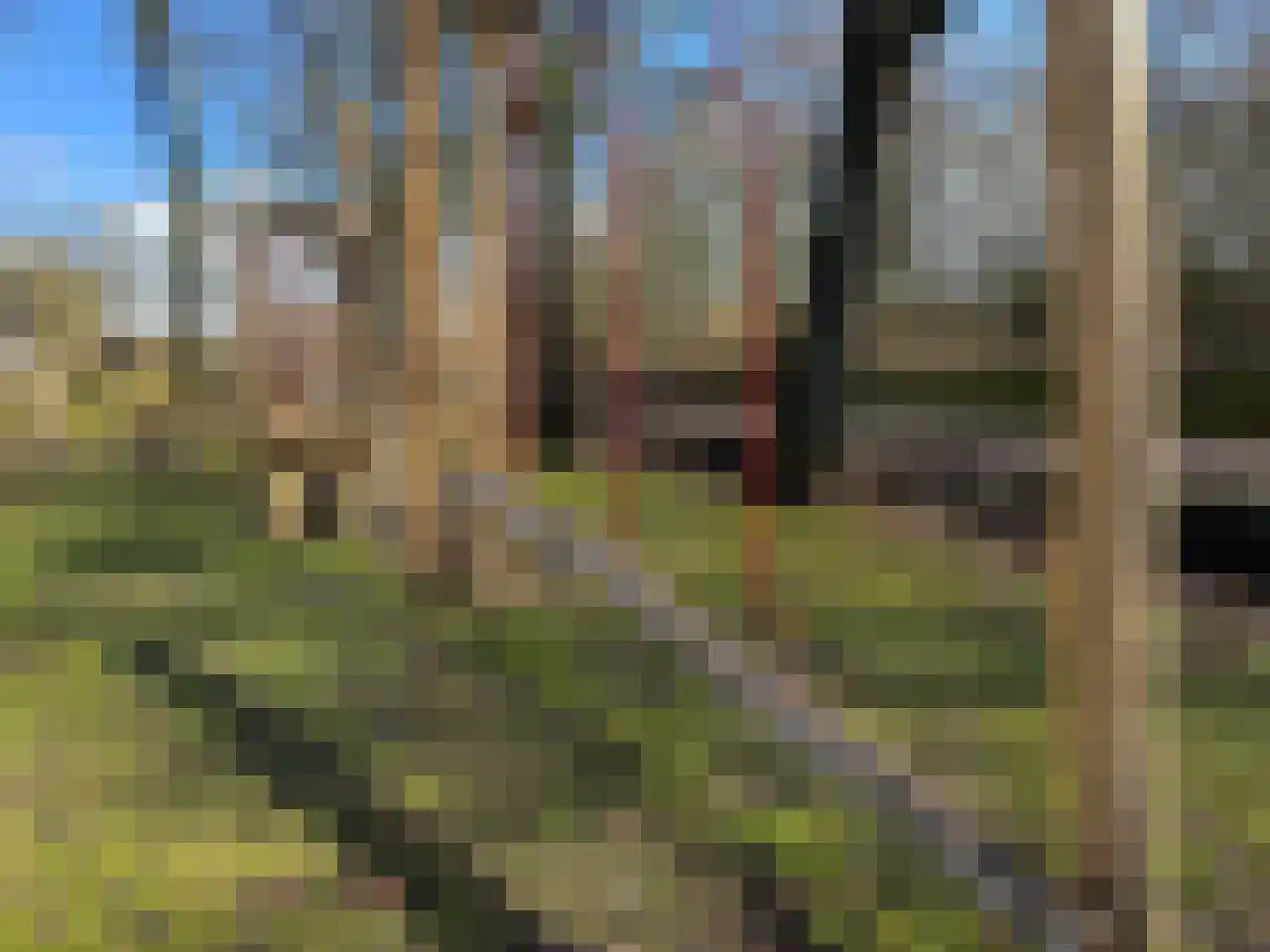 Boogschutter 42 Schijndel thumbnail 45