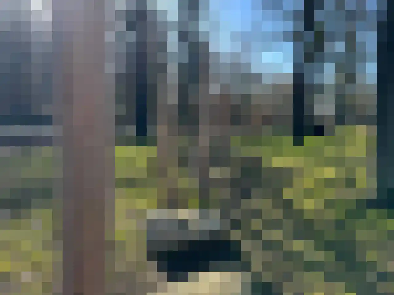 Boogschutter 42 Schijndel thumbnail 46