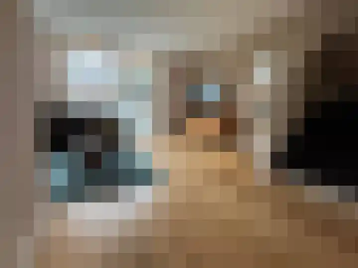 Boogschutter 42 Schijndel thumbnail 6