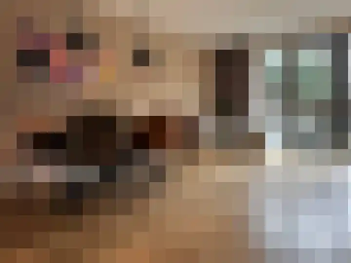 Boogschutter 42 Schijndel thumbnail 7