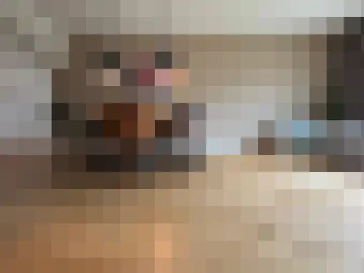 Boogschutter 42 Schijndel thumbnail 8