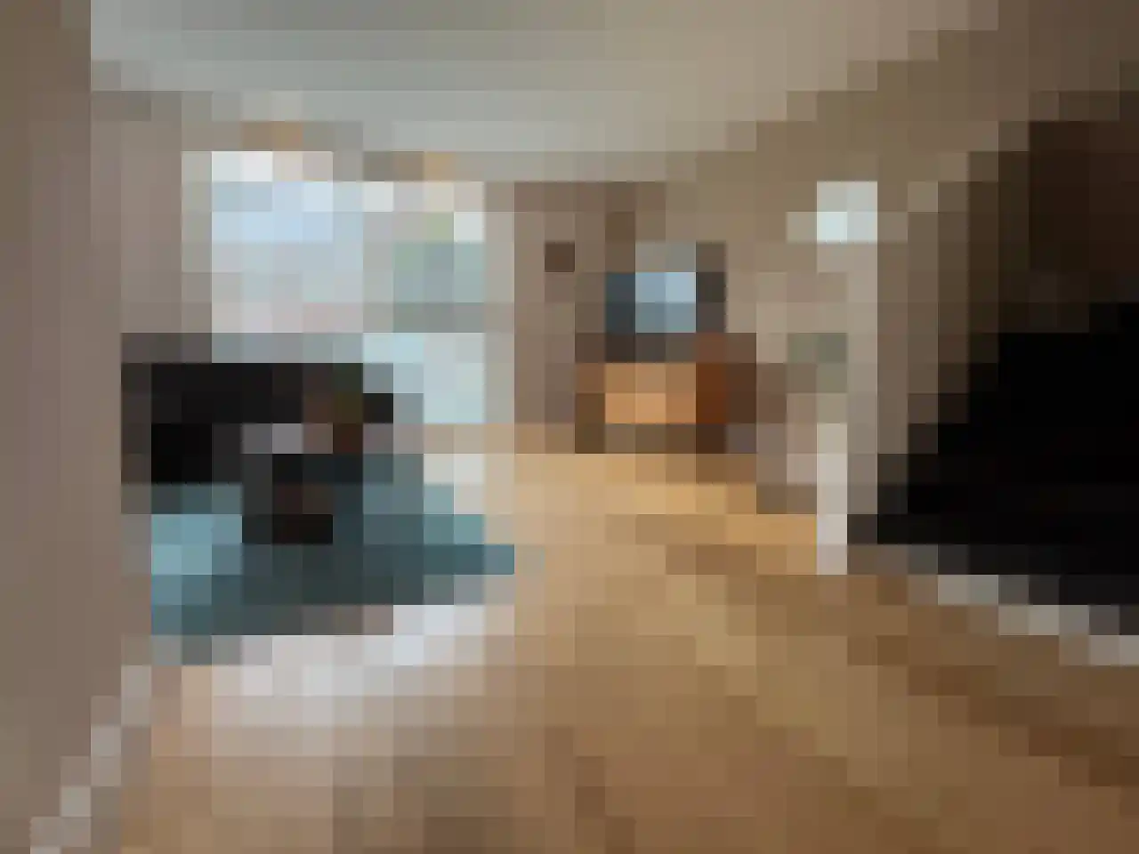Boogschutter 42 Schijndel thumbnail 8
