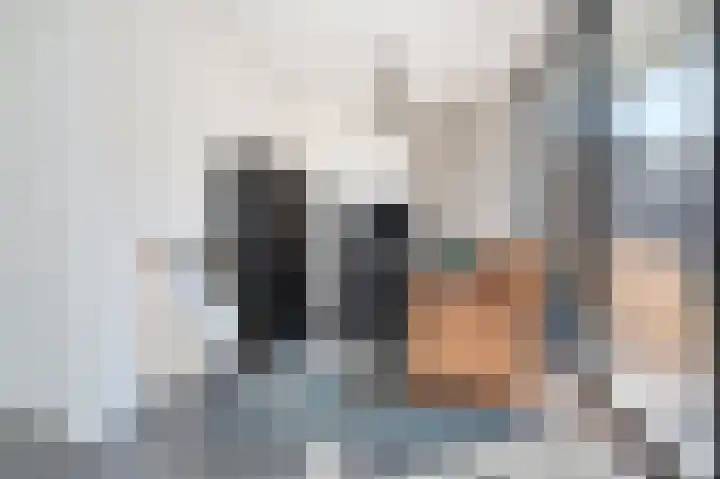 Boogschutter 44 Schijndel thumbnail 12