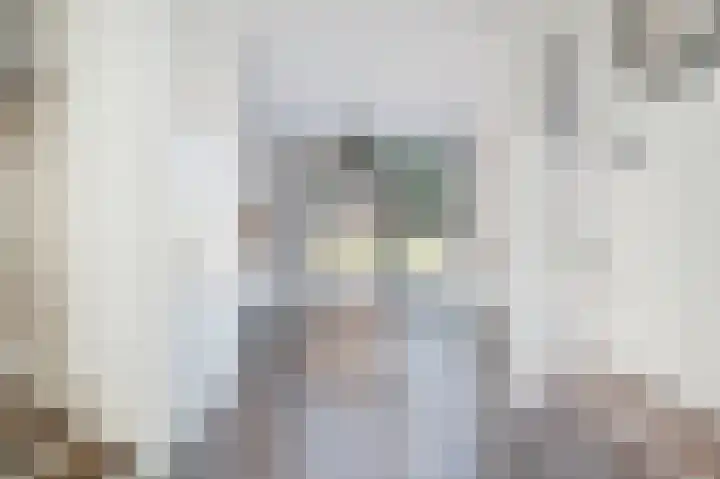 Boogschutter 44 Schijndel thumbnail 14
