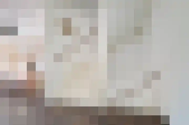 Boogschutter 44 Schijndel thumbnail 29
