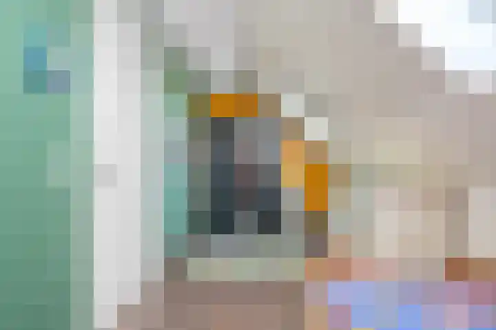 Boogschutter 44 Schijndel thumbnail 31