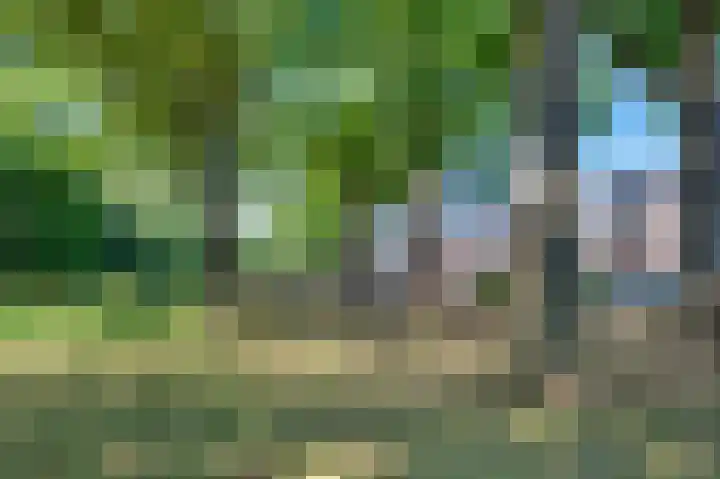 Boogschutter 44 Schijndel thumbnail 38