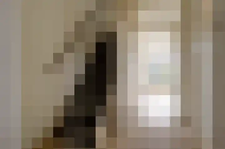 Boogschutter 50 Hoogezand thumbnail 10