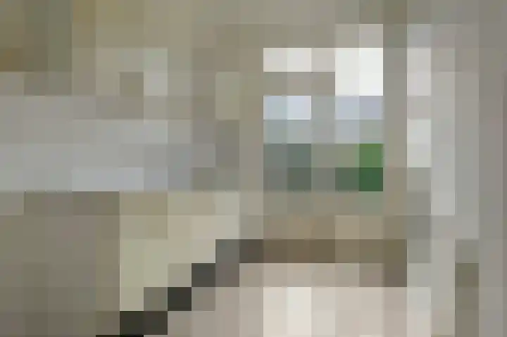 Boogschutter 50 Hoogezand thumbnail 14