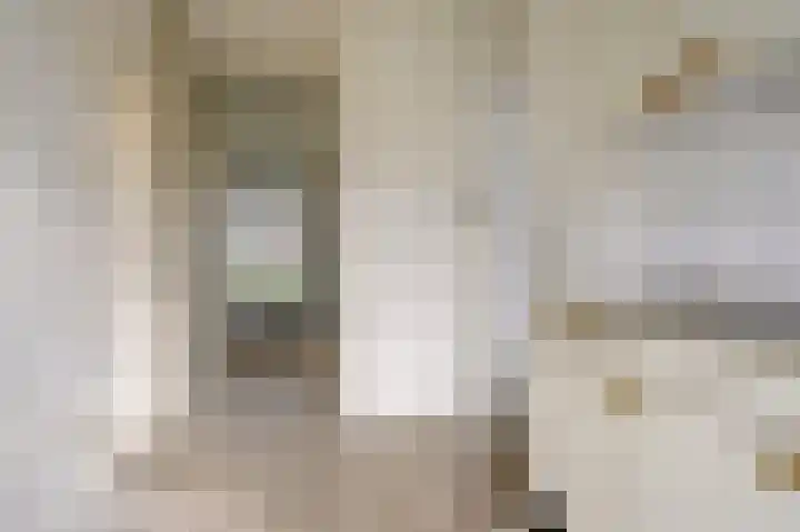 Boogschutter 50 Hoogezand thumbnail 15