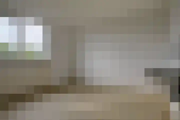Boogschutter 50 Hoogezand thumbnail 16