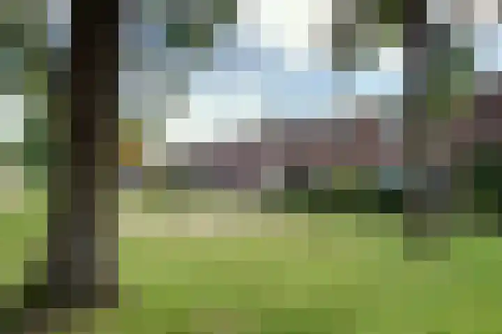 Boogschutter 50 Hoogezand thumbnail 4