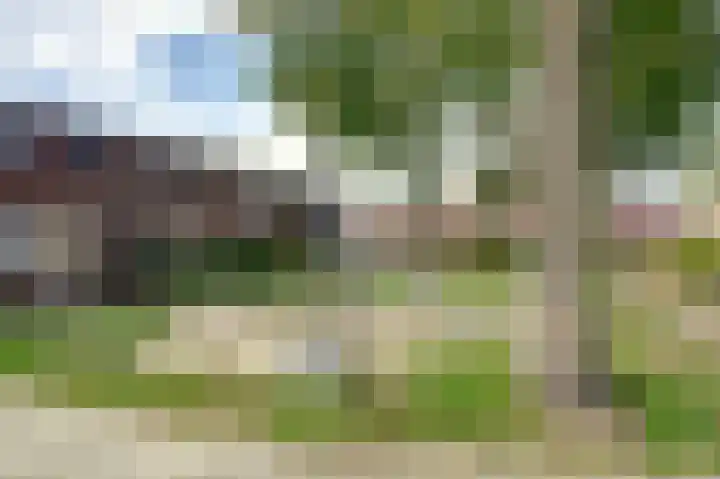 Boogschutter 50 Hoogezand thumbnail 5